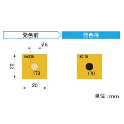 アセイ工業(yè) 1KC170 三色傳感器標(biāo)準(zhǔn)1溫顯示類型