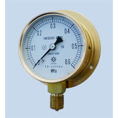 第一計(jì)器 DAIICHI KEIKI  HNT-341B-5MPA 通用壓力計(jì)
