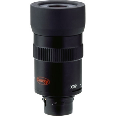 興和光學(xué) KOWA TE-9Z 眼底- 9Z（TSN-660 M600系列）