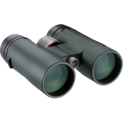 興和光學(xué) KOWA BD42-10XD 雙鏡B4XD